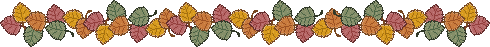 ---Leaves---