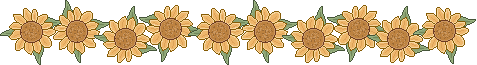---Sunflower---