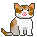 Calico Cat