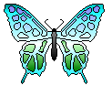 blue-green Butterfly